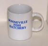 Bonneville Fish Hatchery